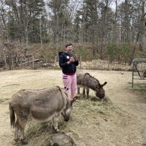 Resident with Donkeys