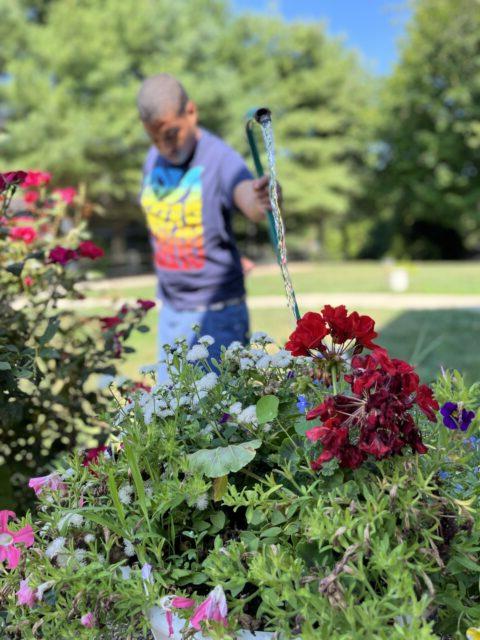 Student volunteering in the community by watering plants